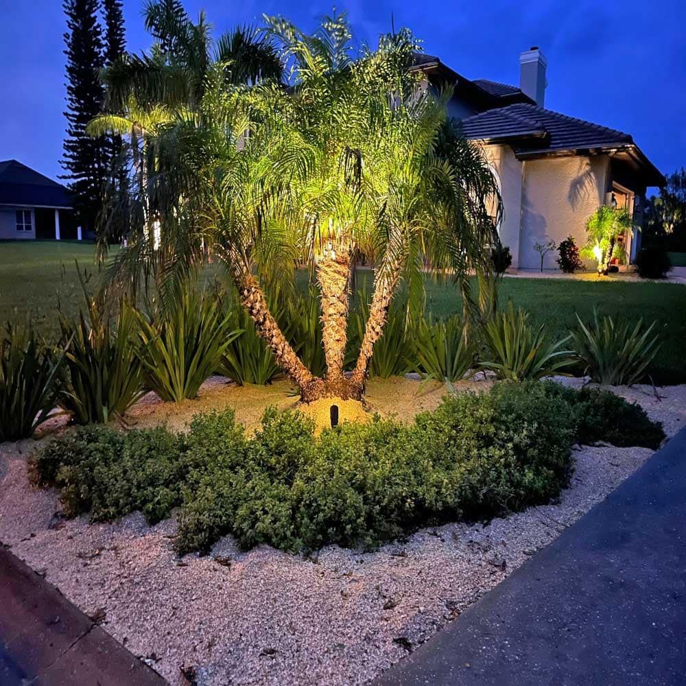 A palm tree is lit up in front of a house at night.