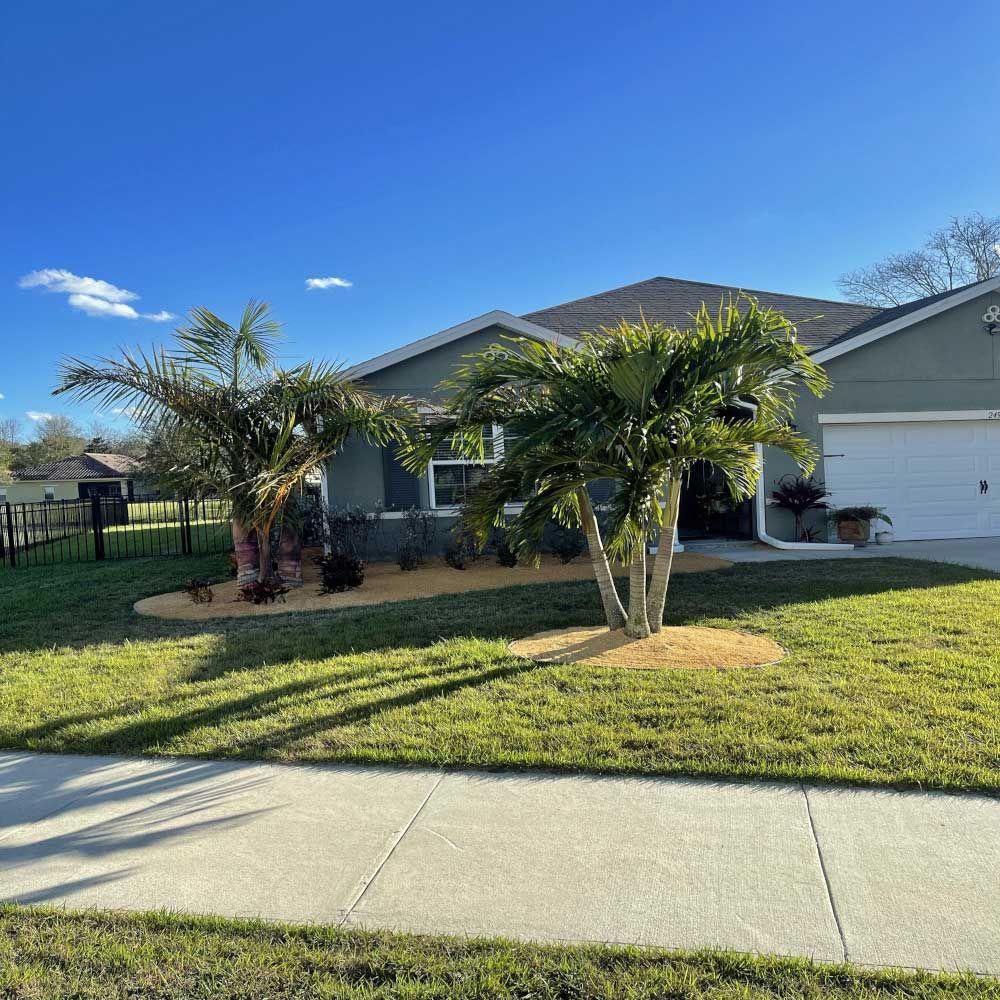 A house with a lot of grass and palm trees in front of it.