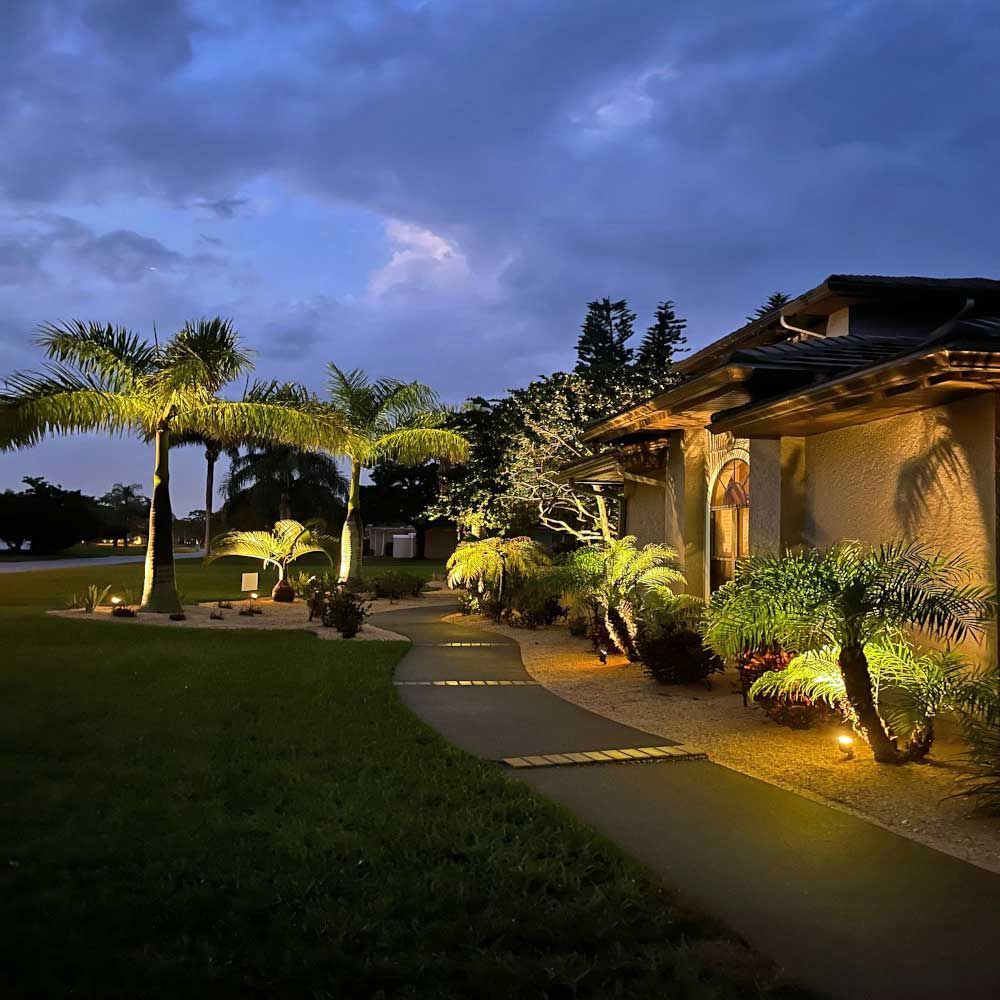 A house with lighted palm trees in front of it at night