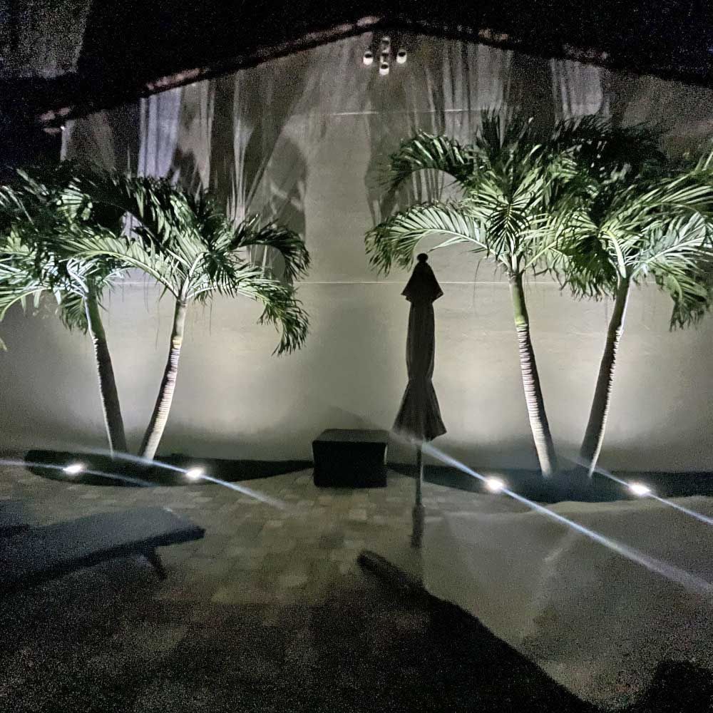 A patio with palm trees and an umbrella at night