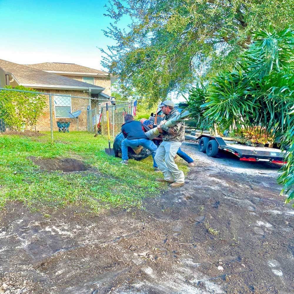 A group of people are pulling a tree on a trailer.