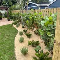 A backyard with a wooden fence and lots of plants.