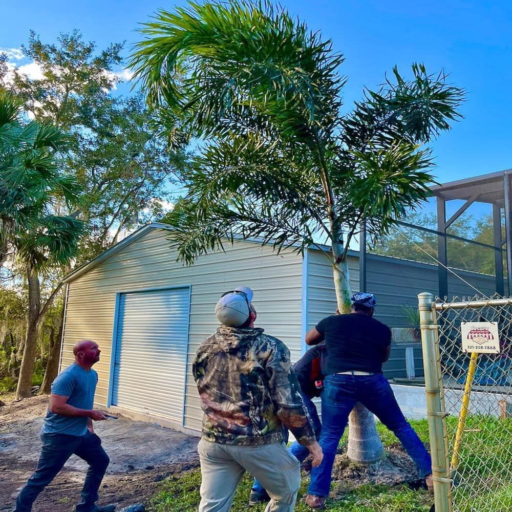 A group of men reinstalling a tree