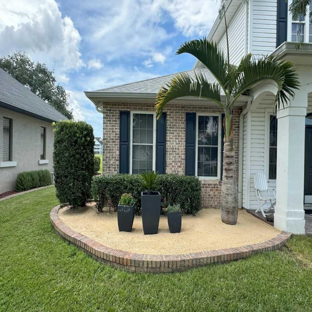 A house with a palm tree in front of it