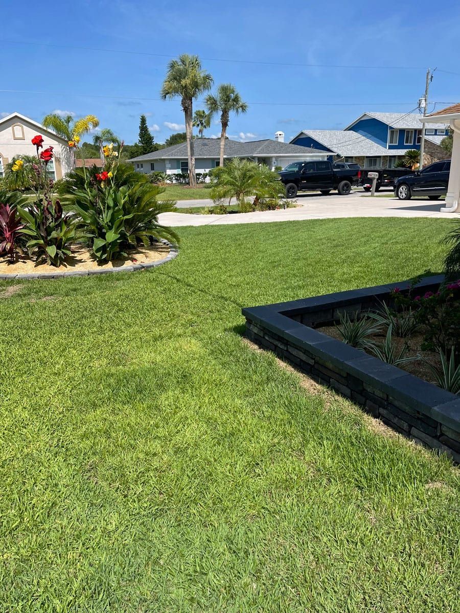 A lush green lawn with a lot of plants and flowers in front of a house.