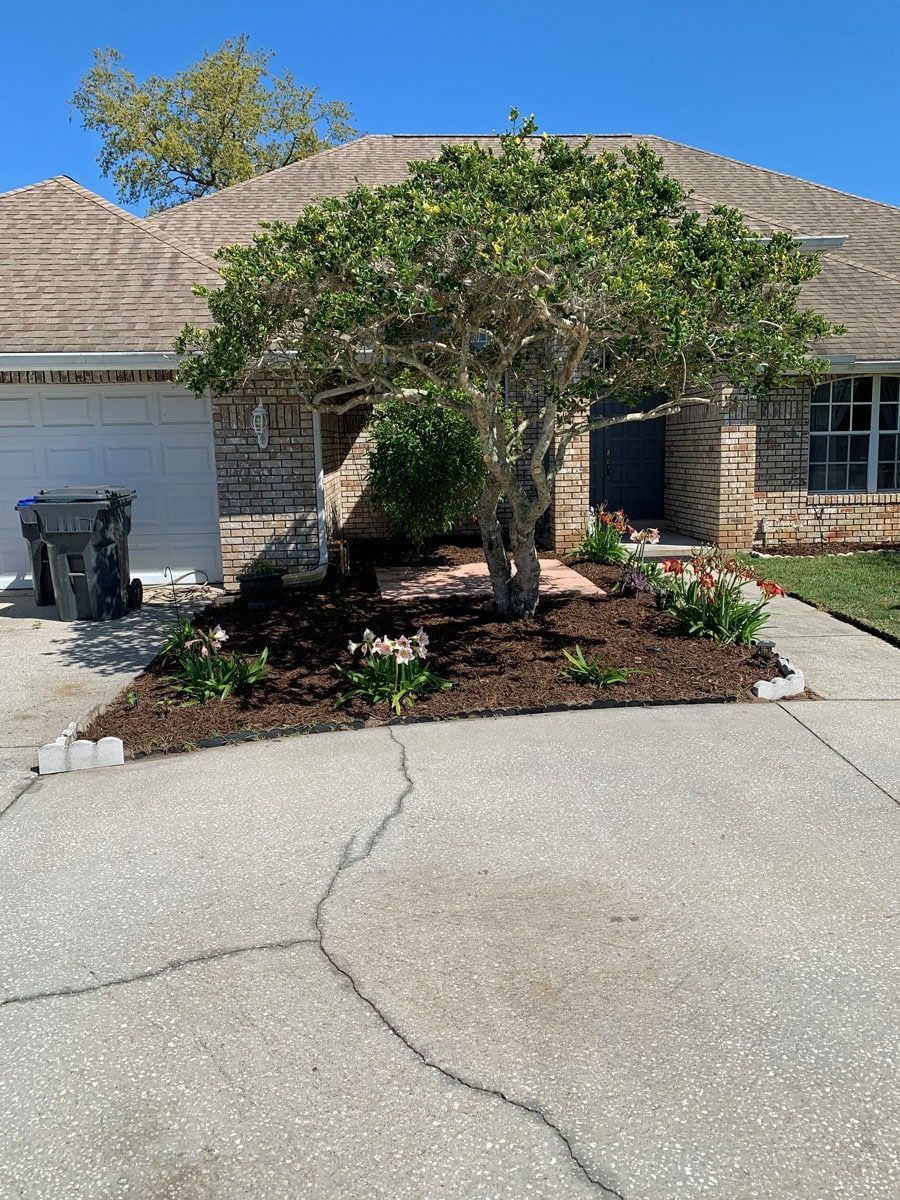A house with a tree in front of it and a driveway.