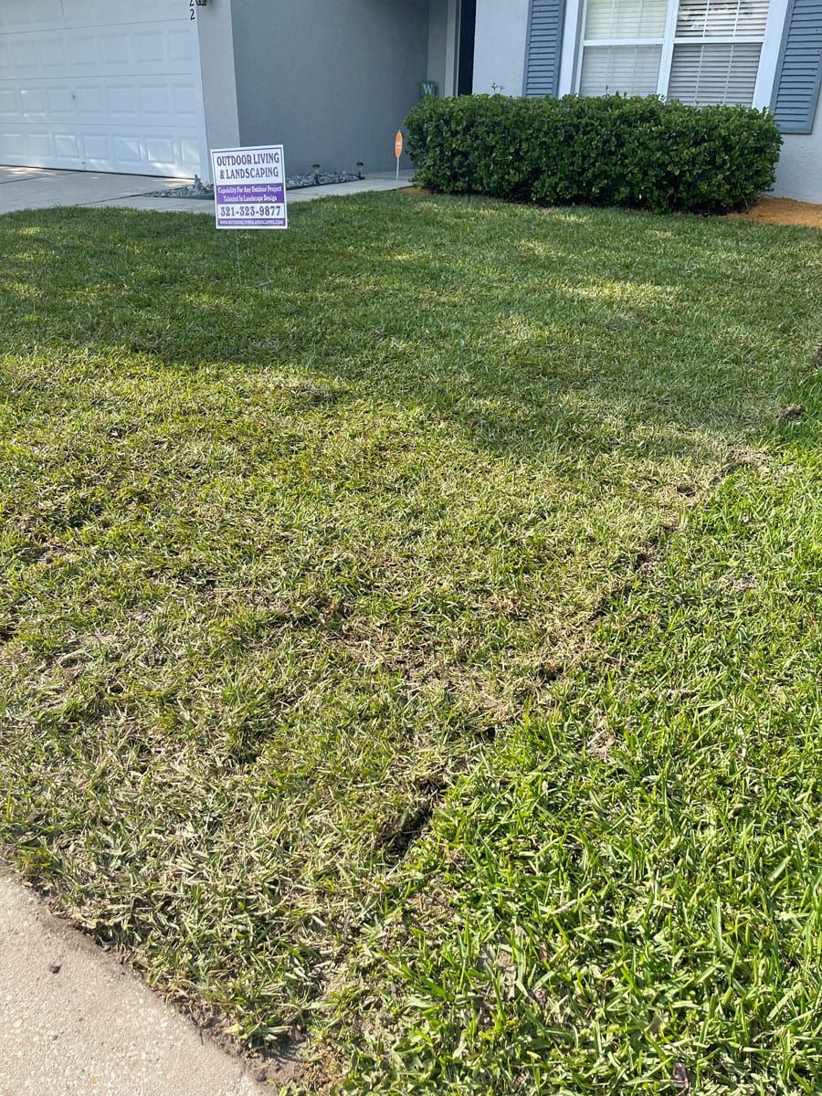 A lush green lawn with a purple sign in front of a house.