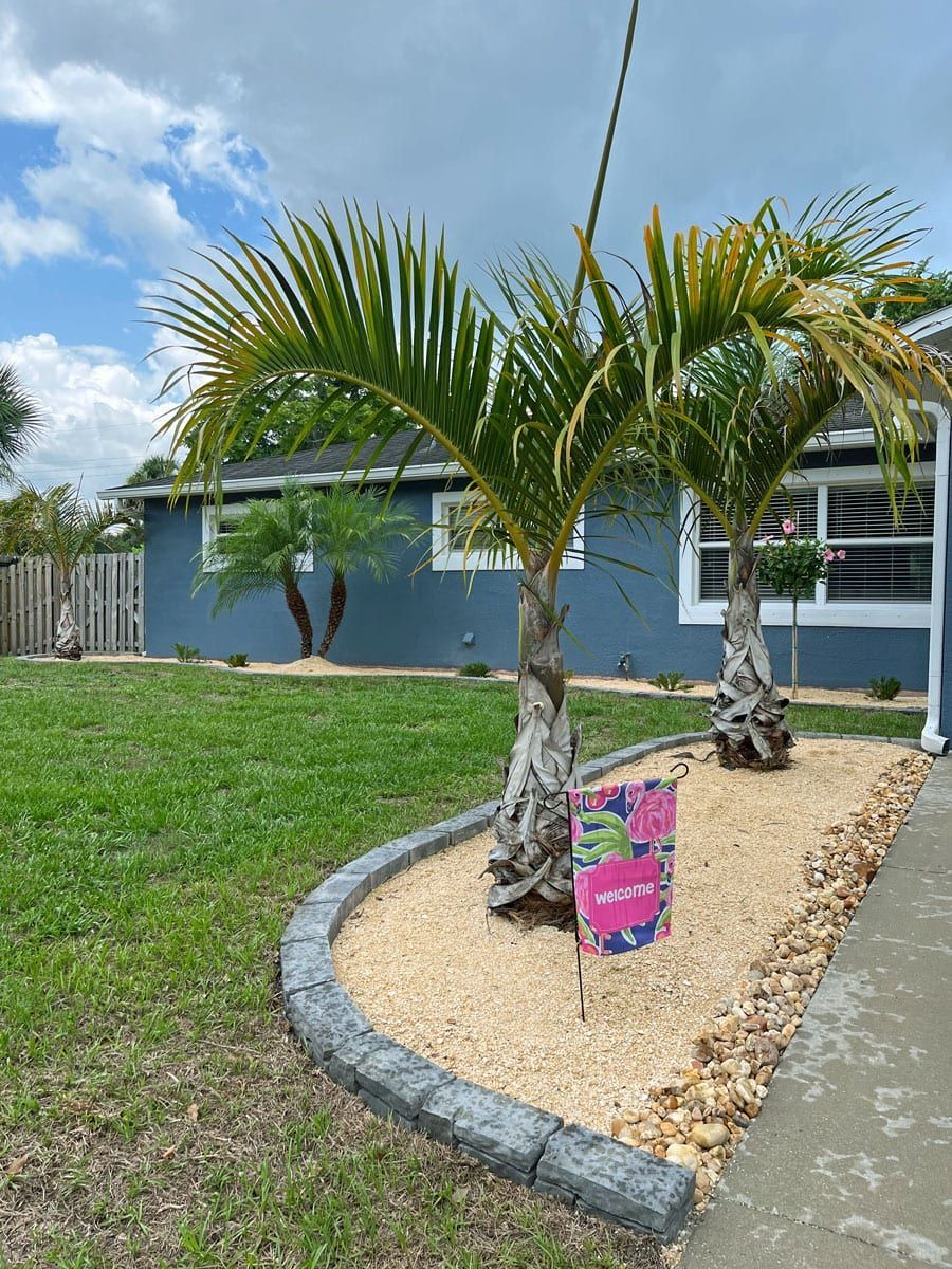 There are two palm trees in front of a house.