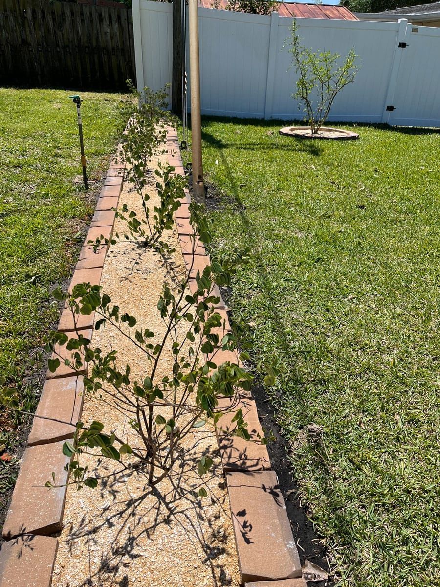 A brick walkway leading to a grassy yard with a white fence in the background.
