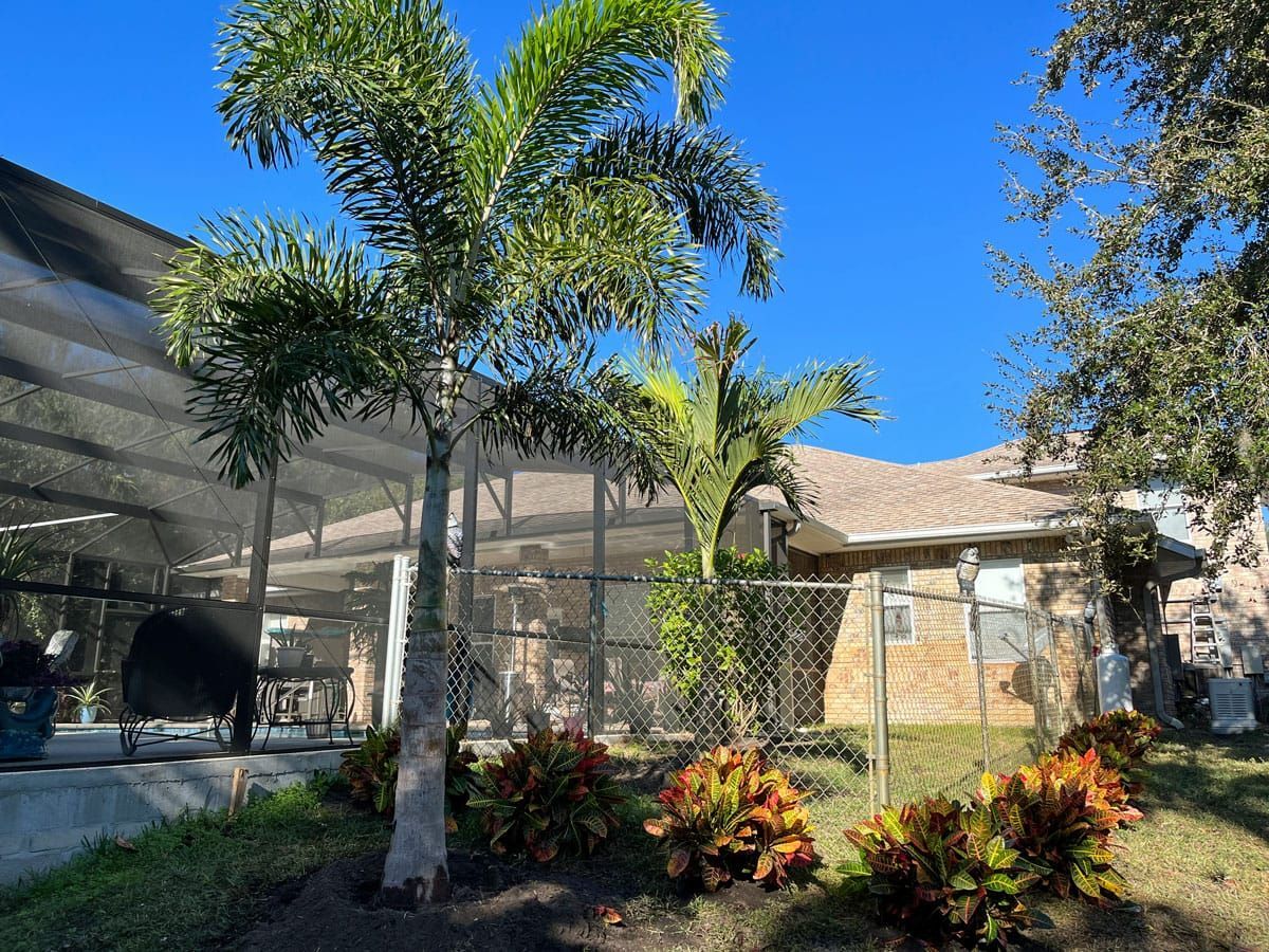A house with a screened in porch and a palm tree in front of it.
