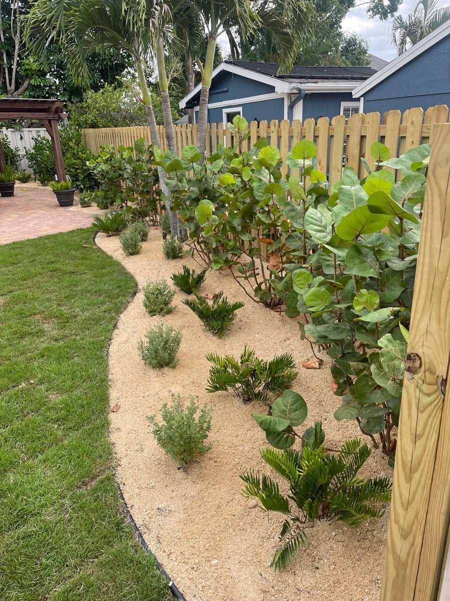 A backyard with a wooden fence and lots of plants.