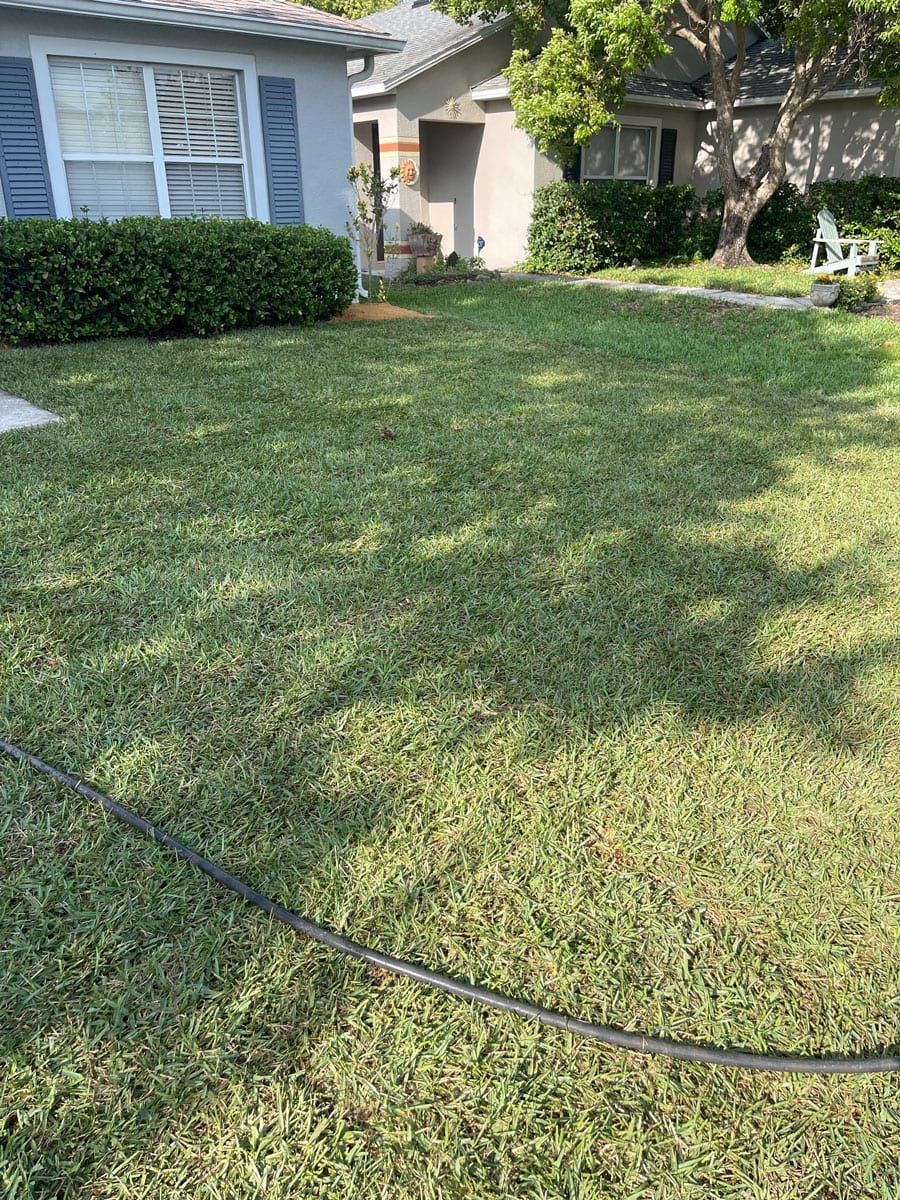 A lush green lawn with a hose in front of a house.
