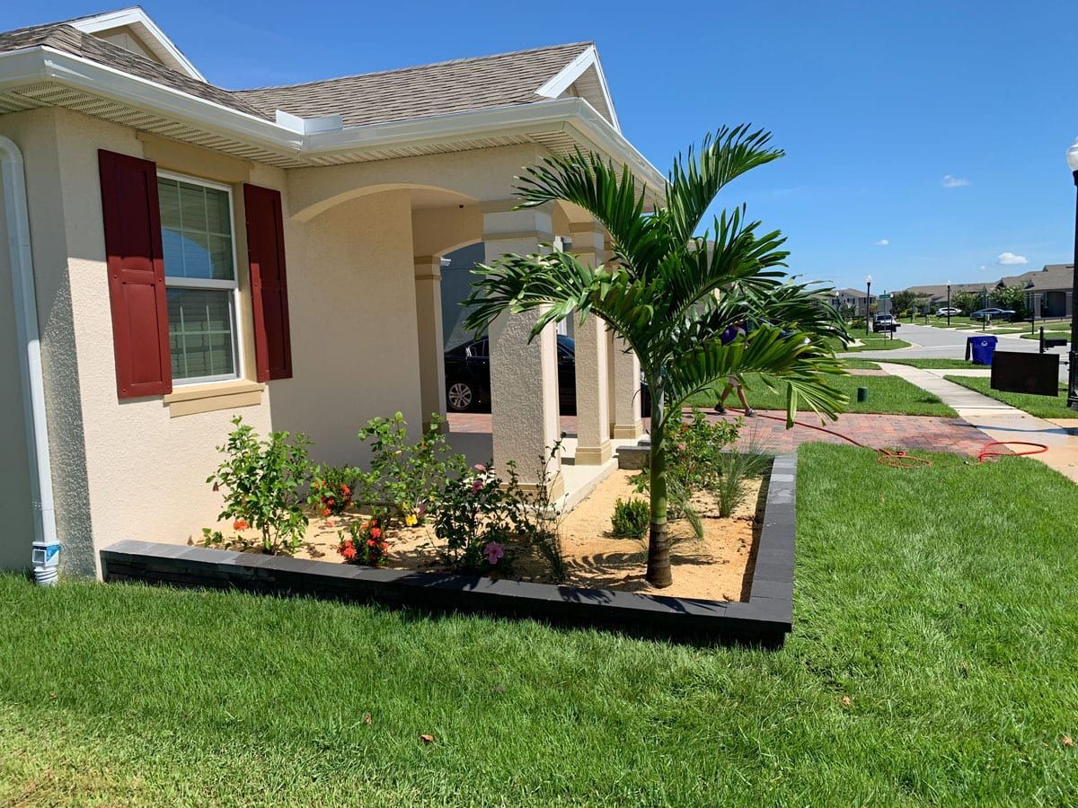 A house with a lush green lawn and a palm tree in front of it.