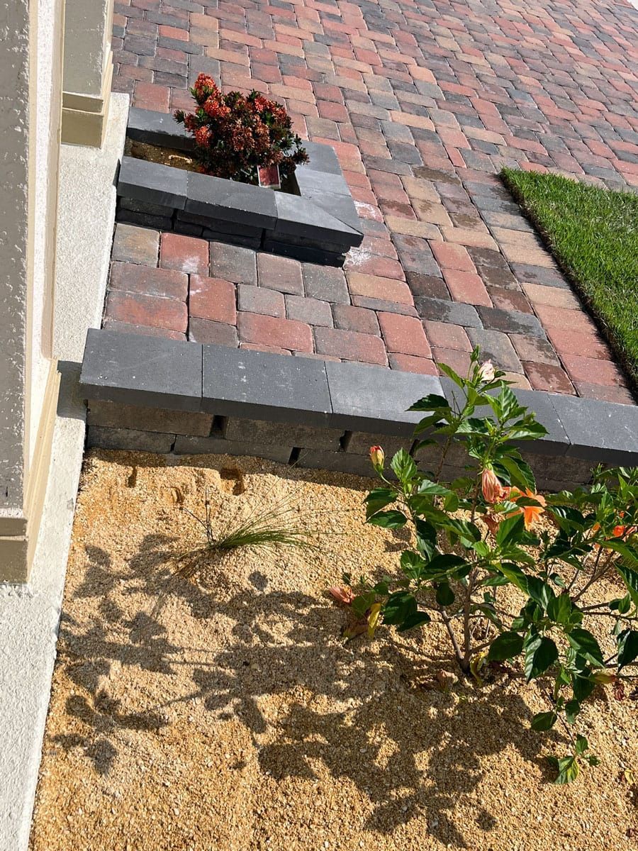 A brick walkway with a plant in the middle of it