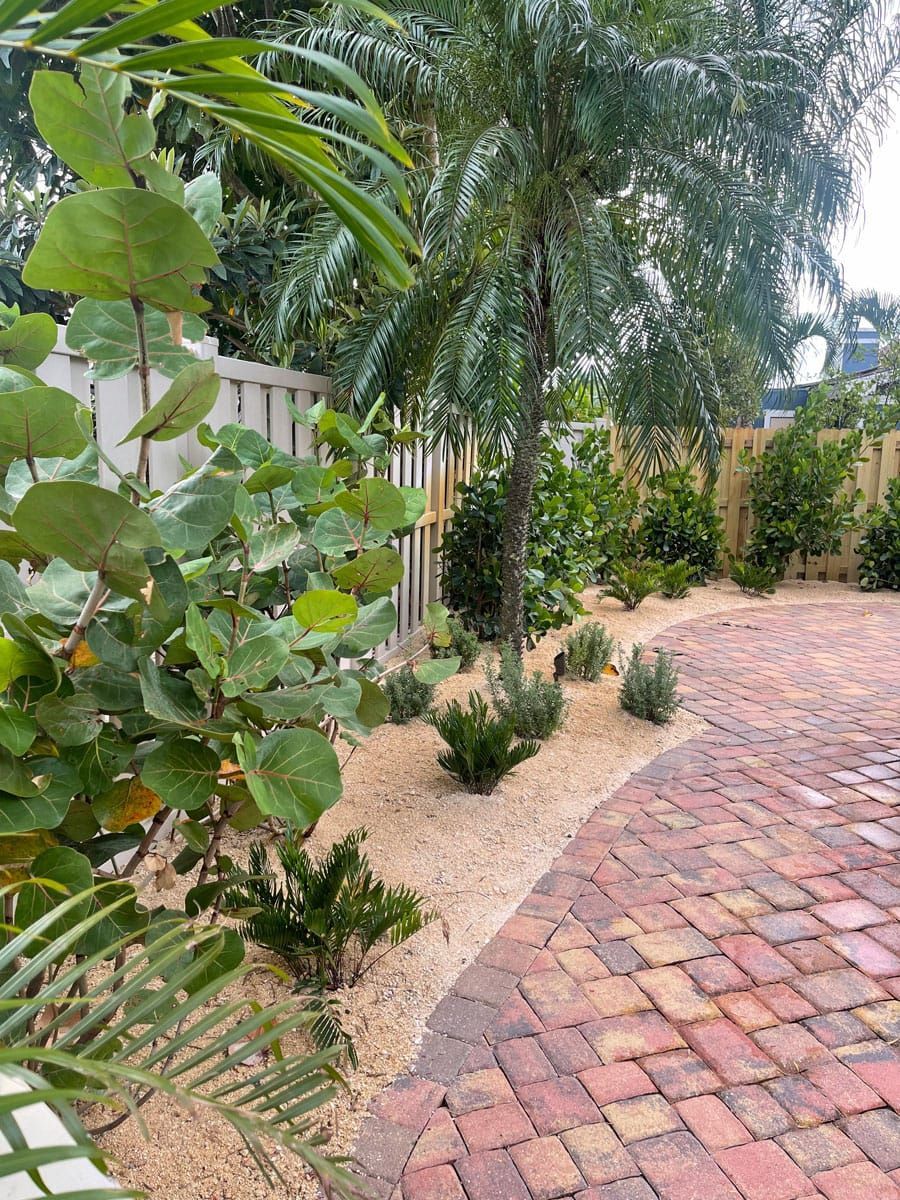 A brick walkway surrounded by trees and bushes in a backyard.