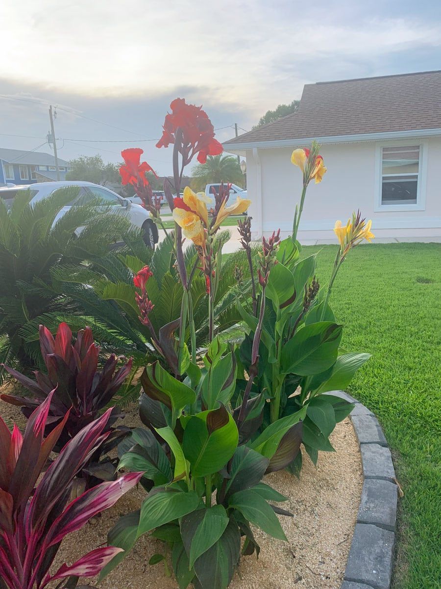 A garden with flowers and plants in front of a house.