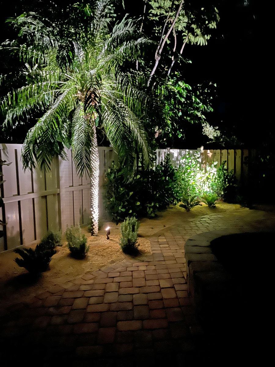 A palm tree is lit up at night in a backyard.