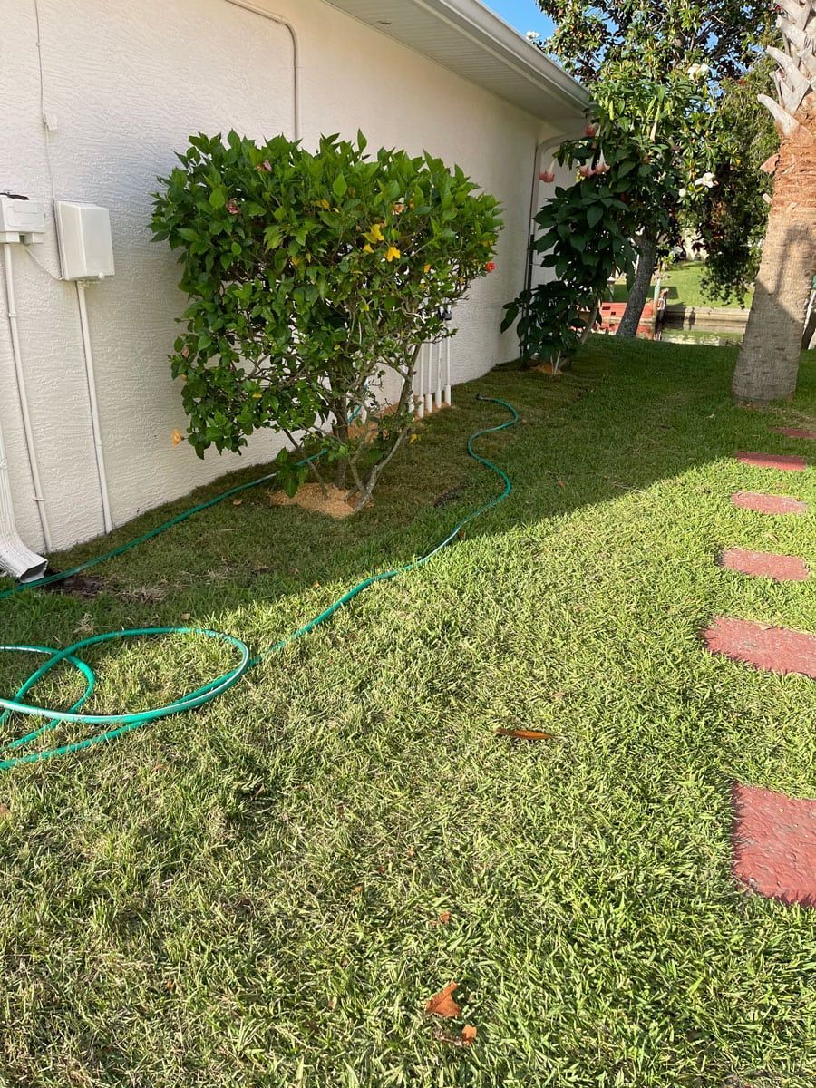 A hose is sitting in the grass in front of a house.