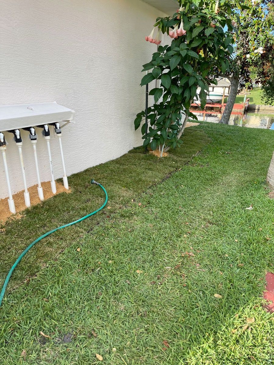 A green hose is sitting in the grass next to a white wall.