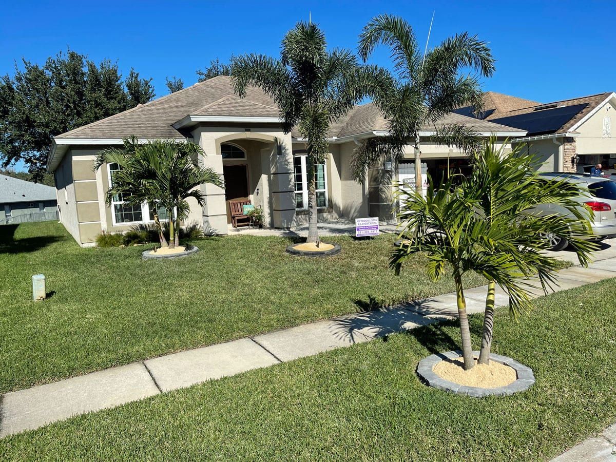 A house with a lot of grass and palm trees in front of it.
