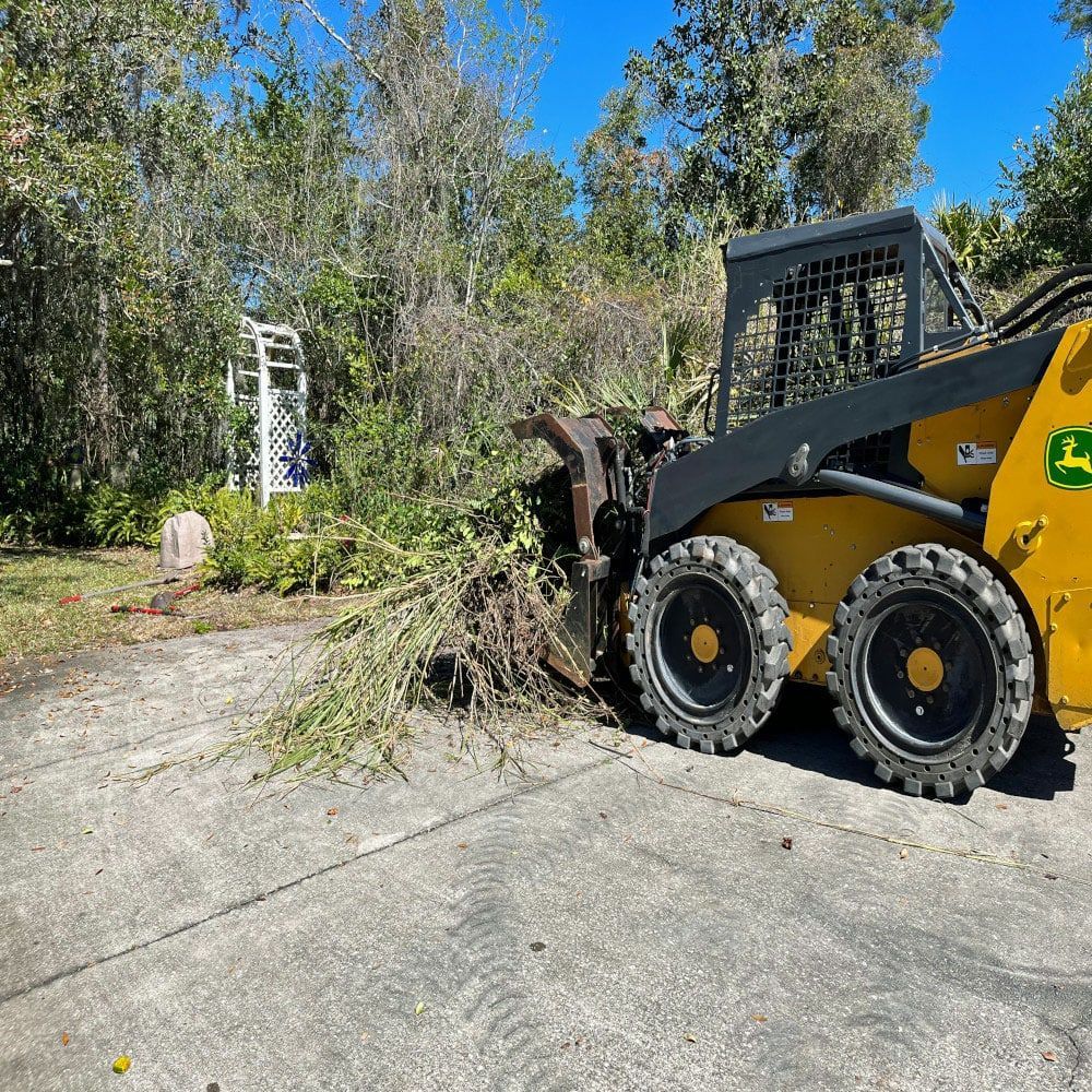 A steer moving a pile of branches in a driveway.