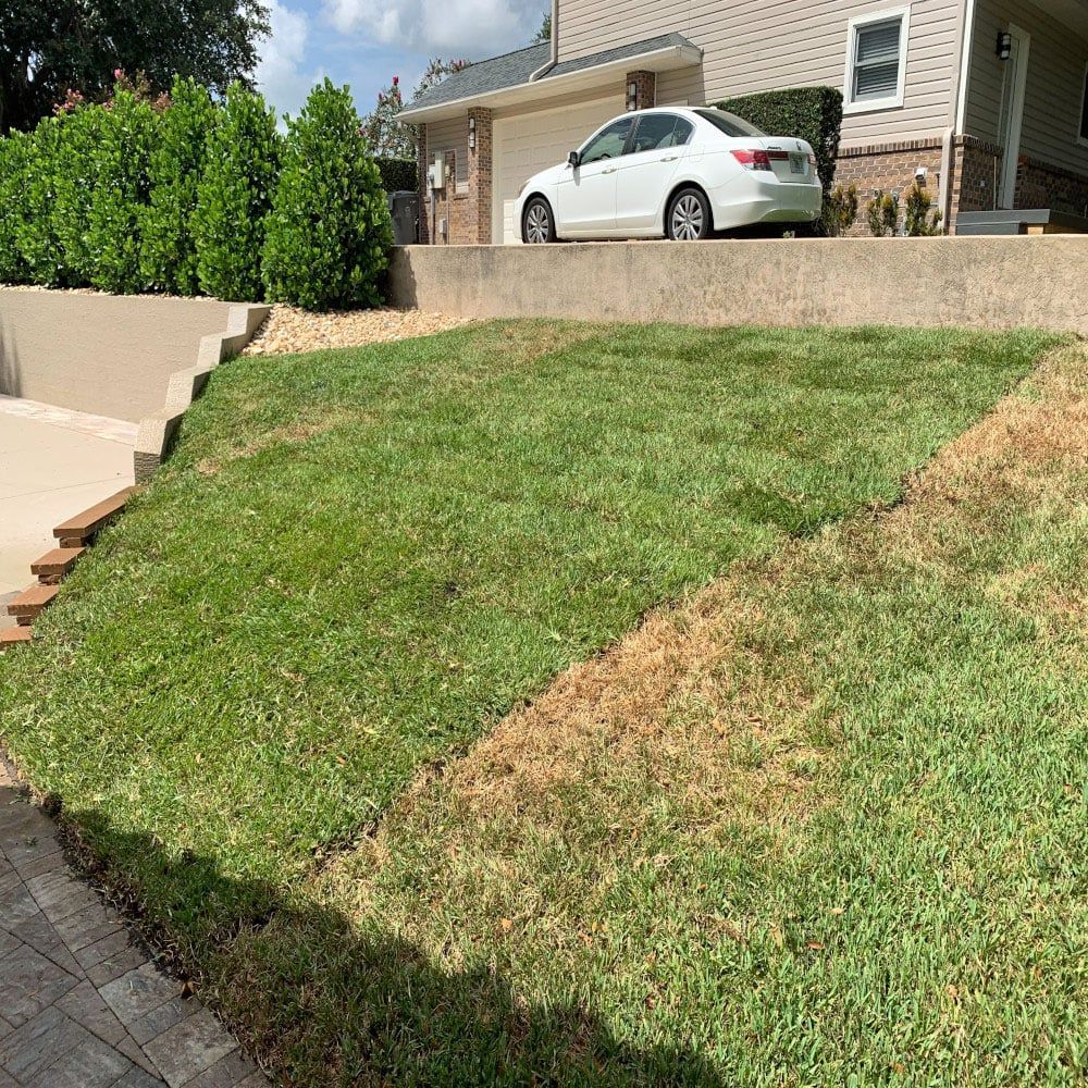 Re-sloping a grassy hill in front of a house.