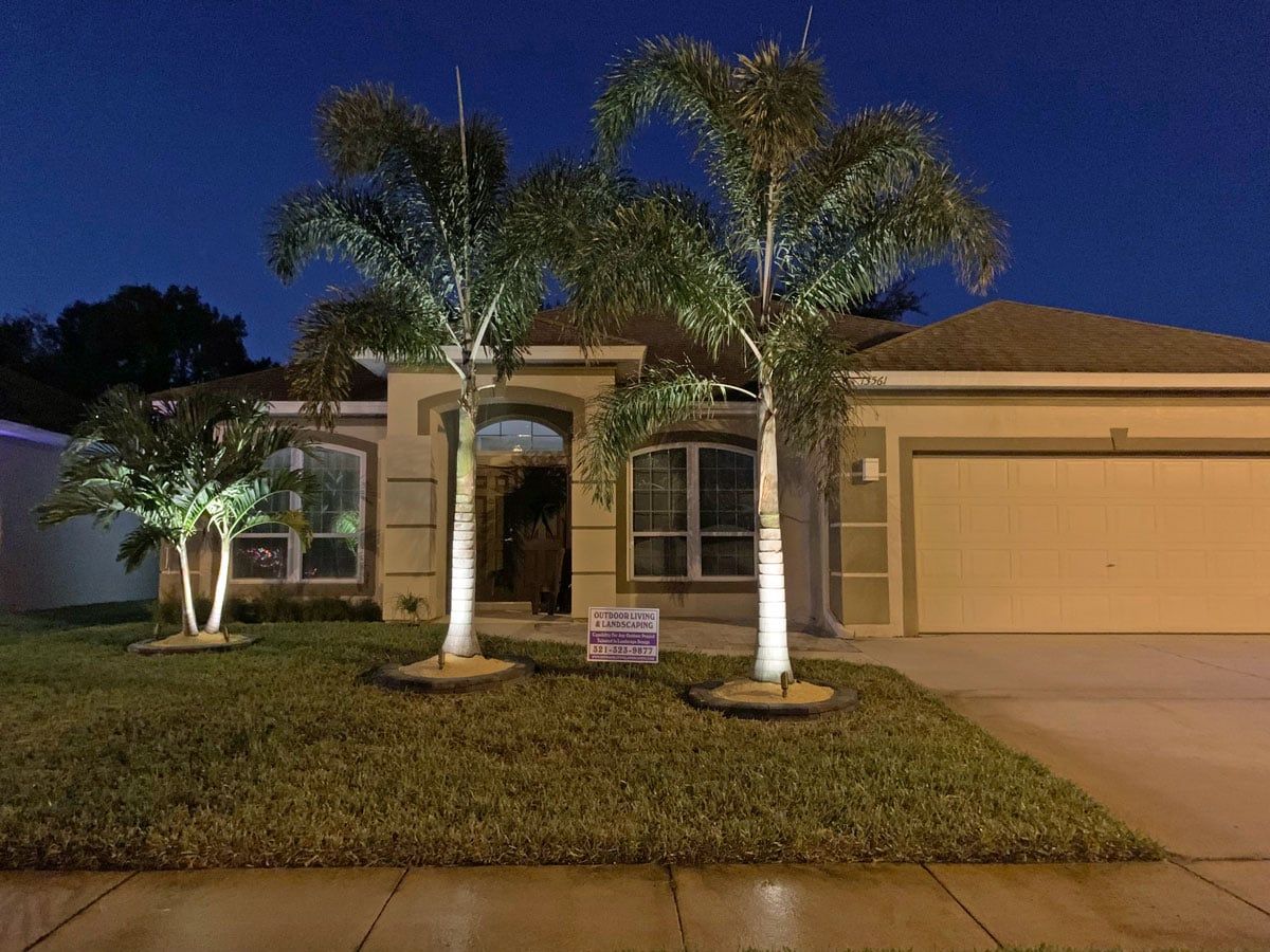 A house with palm trees in front of it is lit up at night.