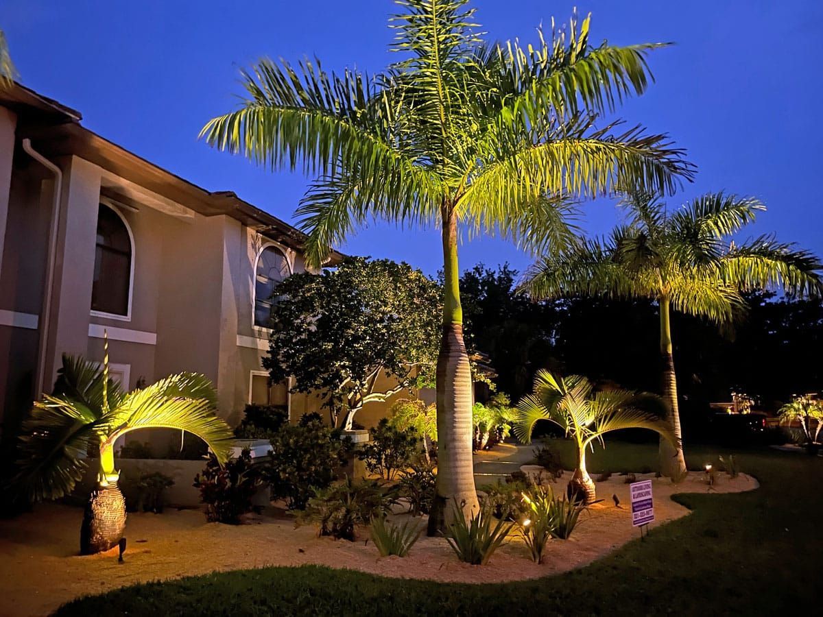 A house with palm trees in front of it at night