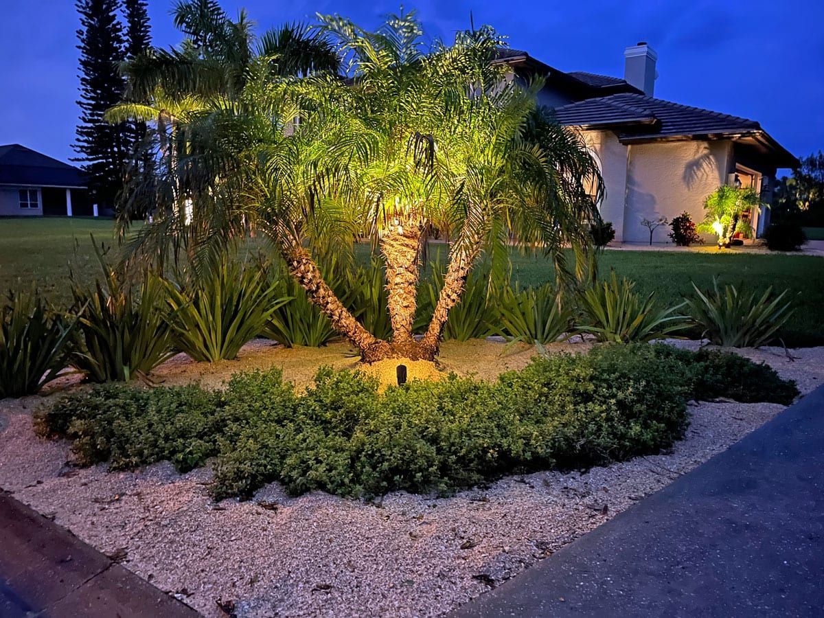 A palm tree is lit up in front of a house at night.