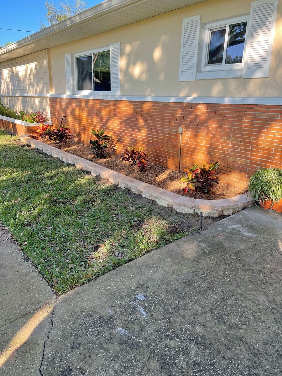 A house with a lot of plants in front of it.