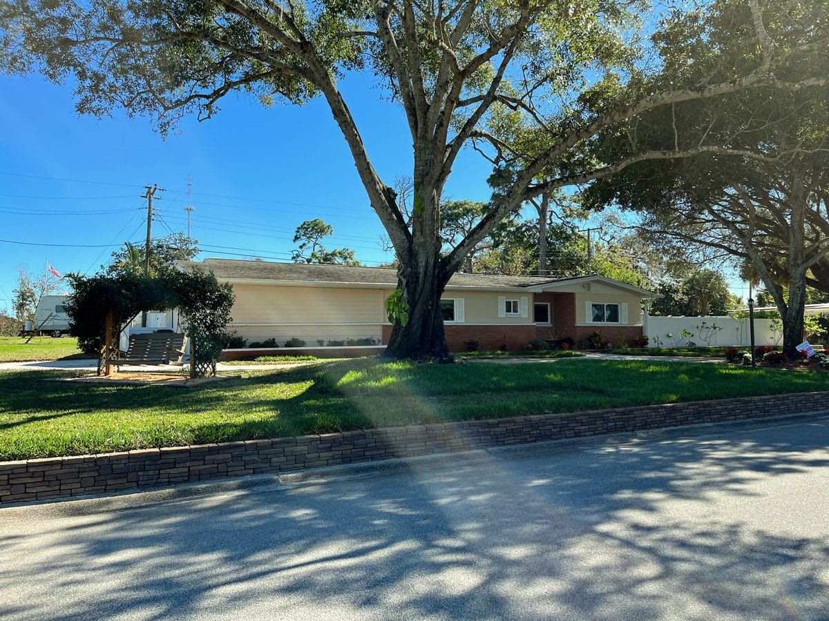 A white house with a large tree in front of it