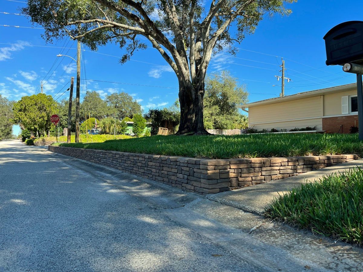 There is a mailbox on the side of the road next to a tree.