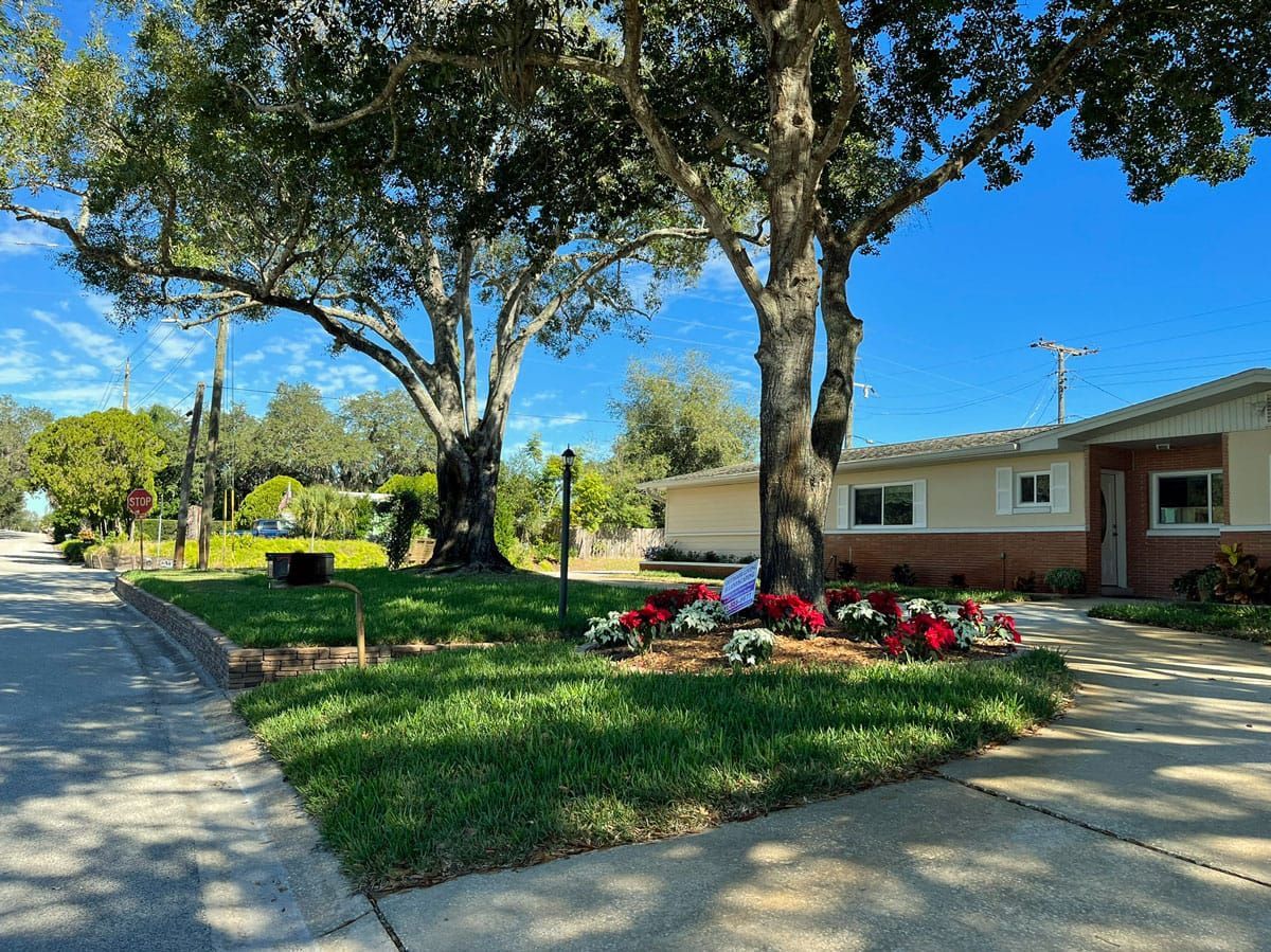 A house with a lot of trees in front of it.