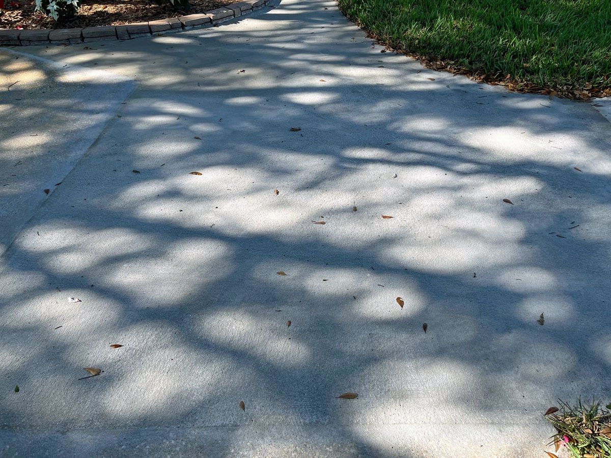 Shadows of trees are cast on a concrete driveway