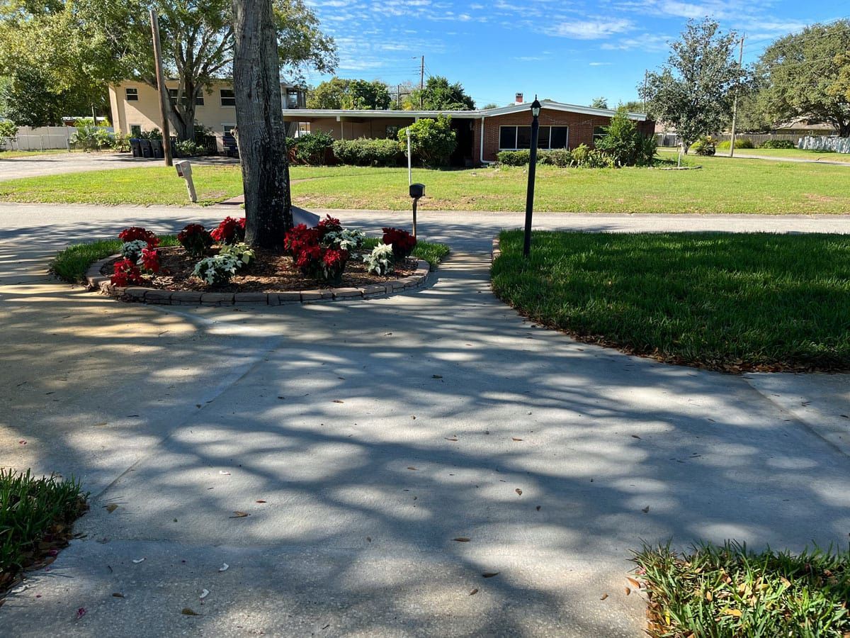 A concrete driveway leading to a house with a tree in the middle of it.