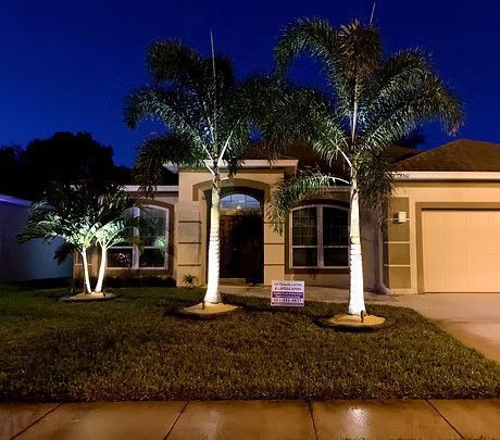 A lighting effect on palm trees at night