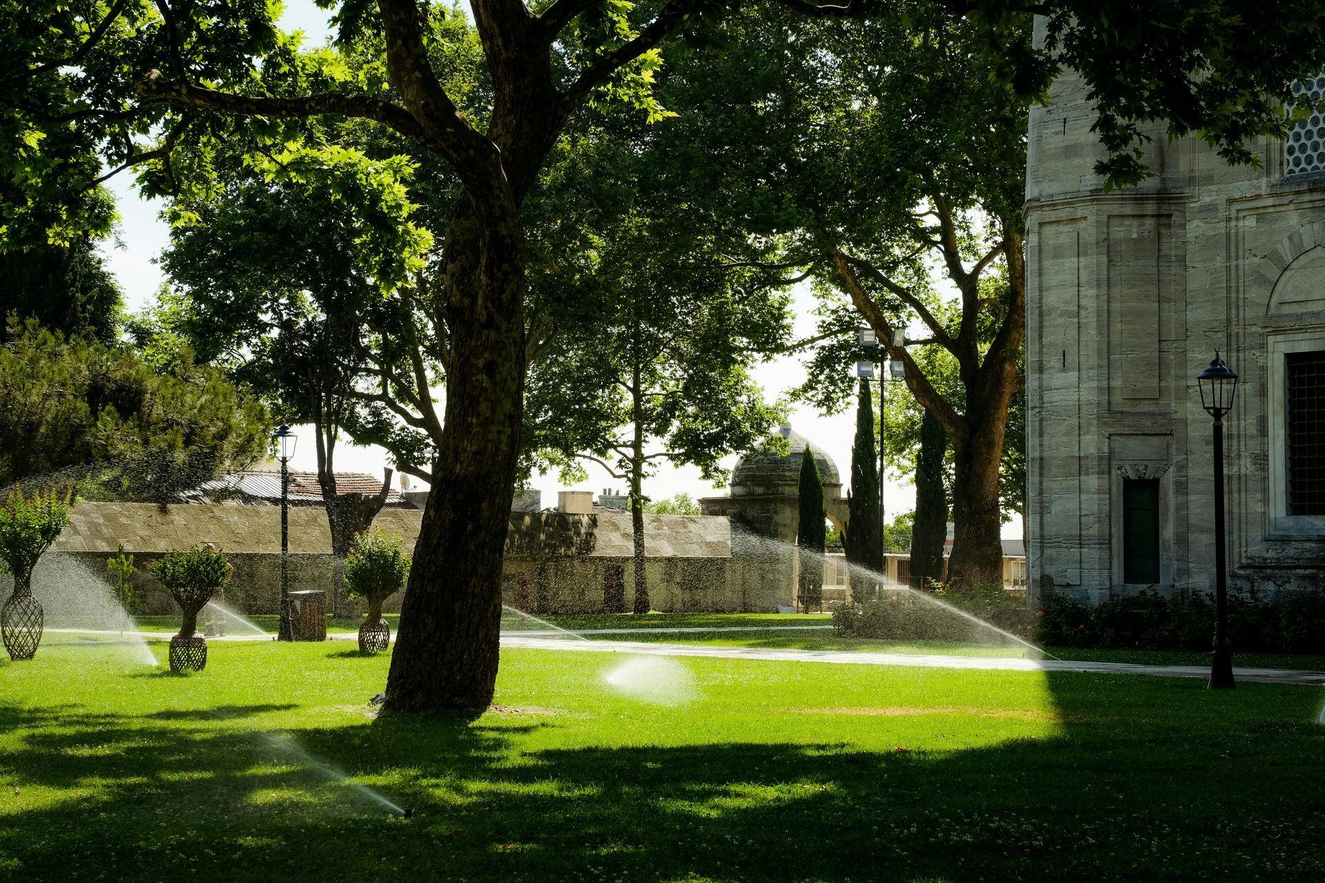A lawn with trees and a building in the background