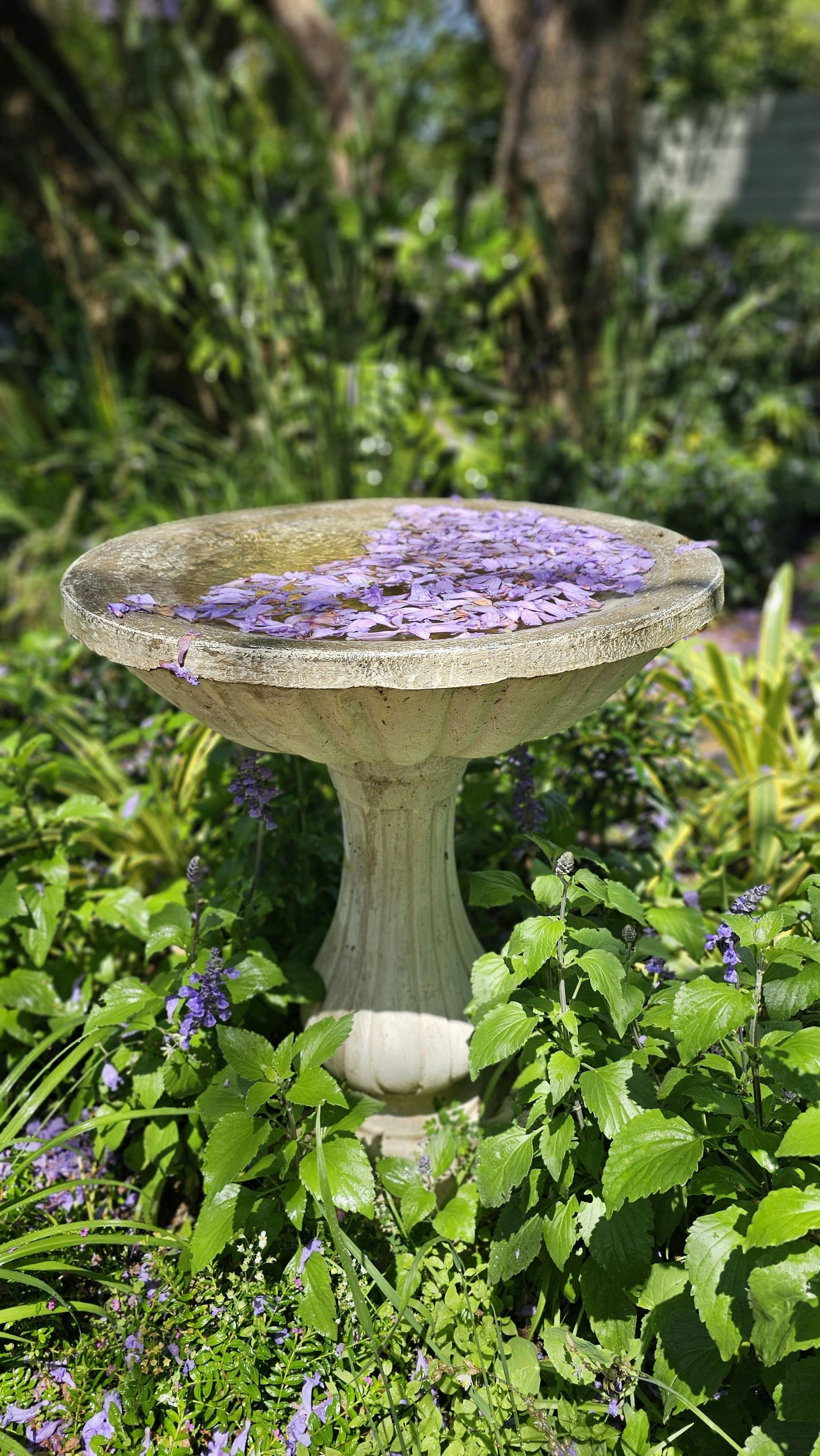 A bird bath filled with purple flowers in a garden.
