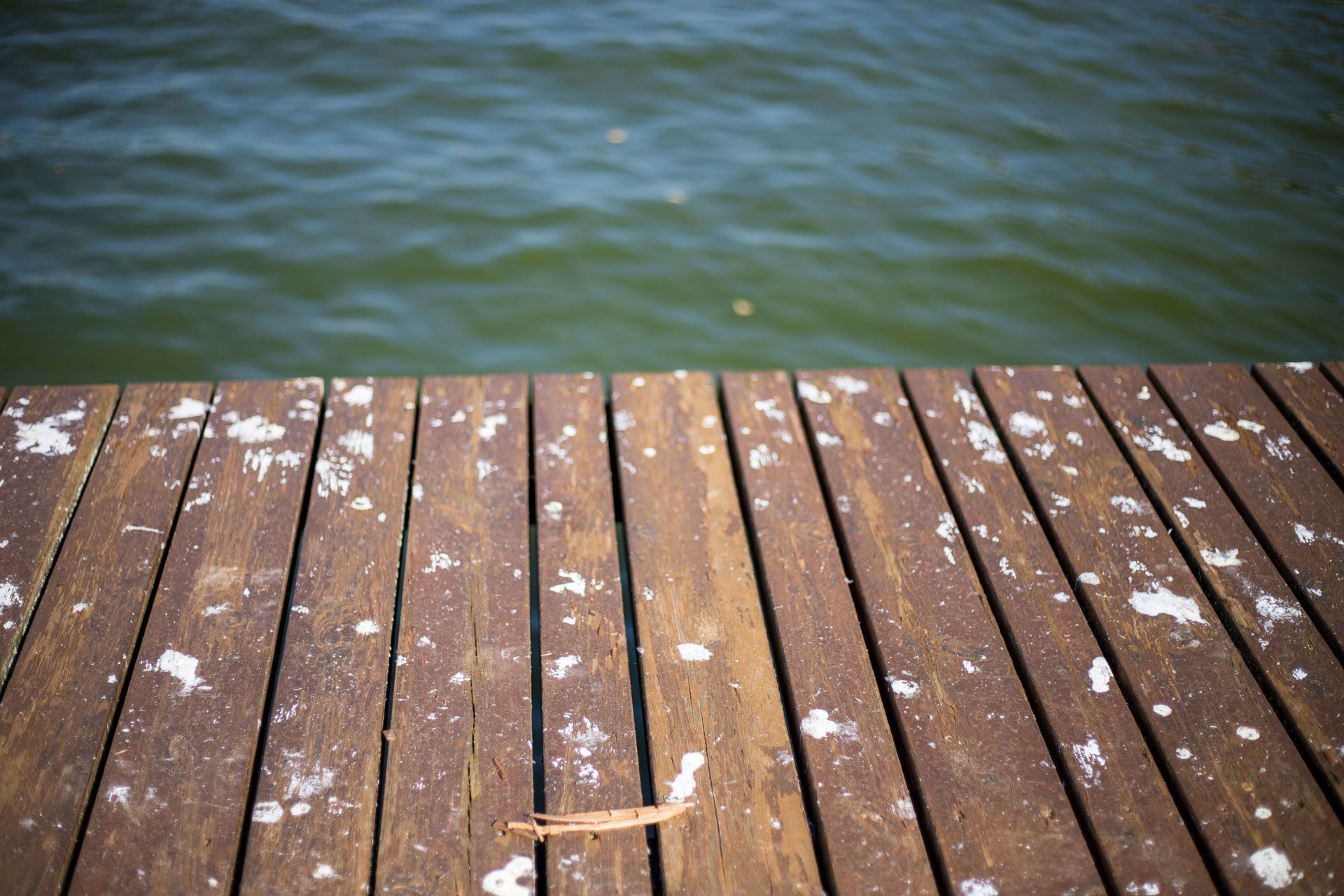 Wooden dock boards with white spots, facing out to dark blue water.
