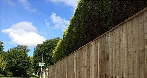 top-class wooden fence