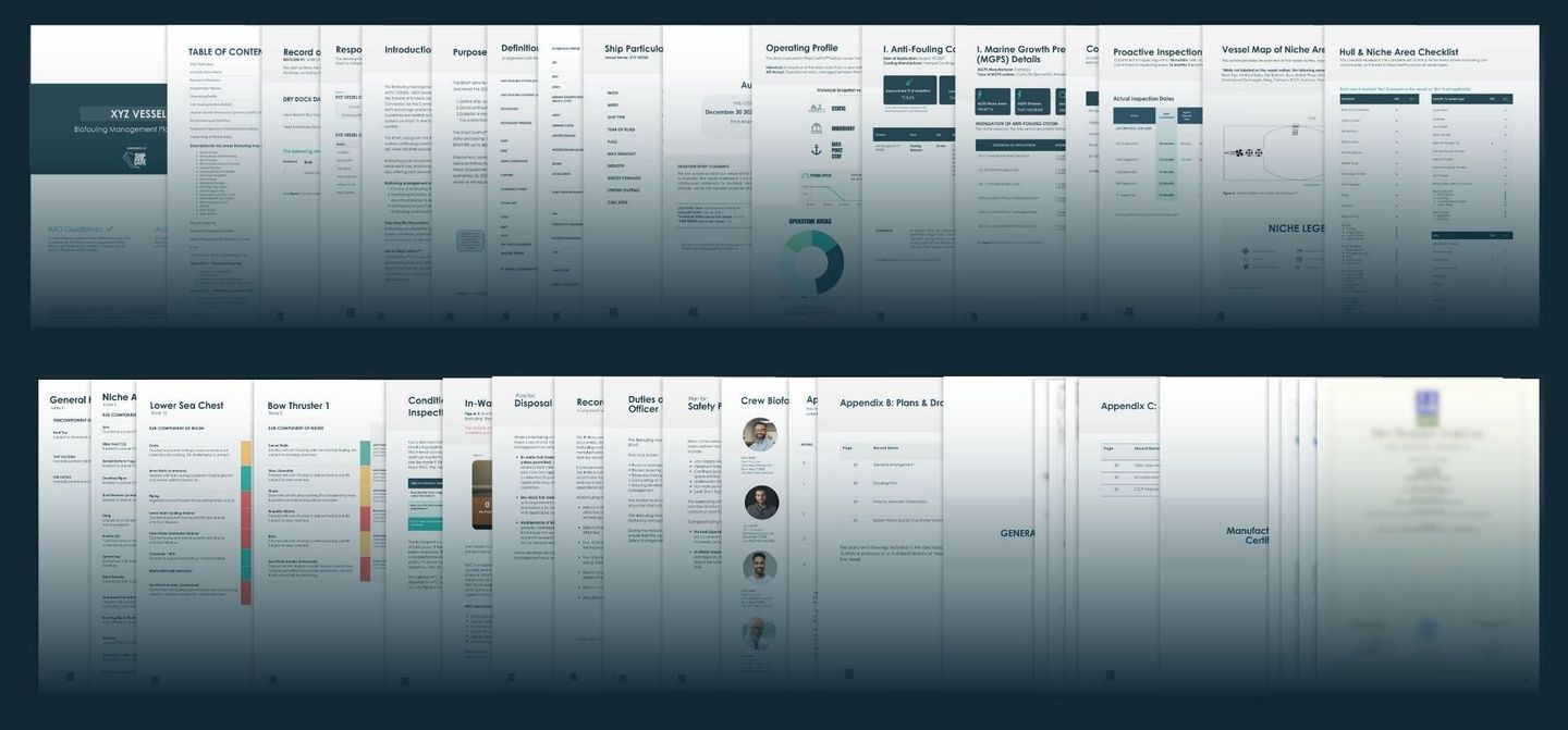 Multiple mockups of a dashboard interface, white backgrounds, text and icons, teal gradient frame.