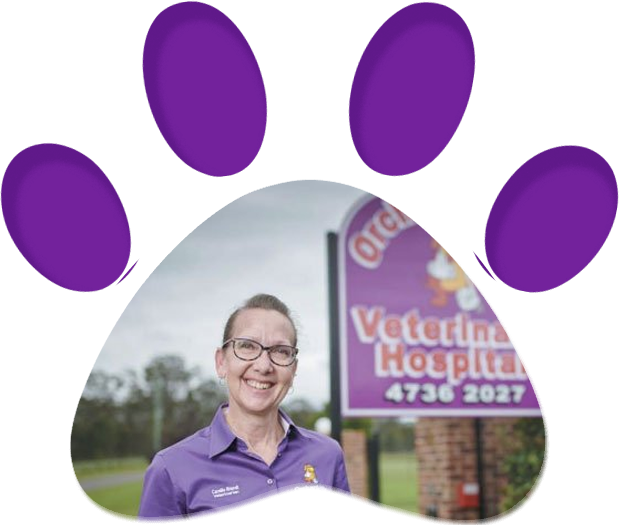 Camille Brandt — Penrith, NSW — Orchard Hills Veterinary Hospital