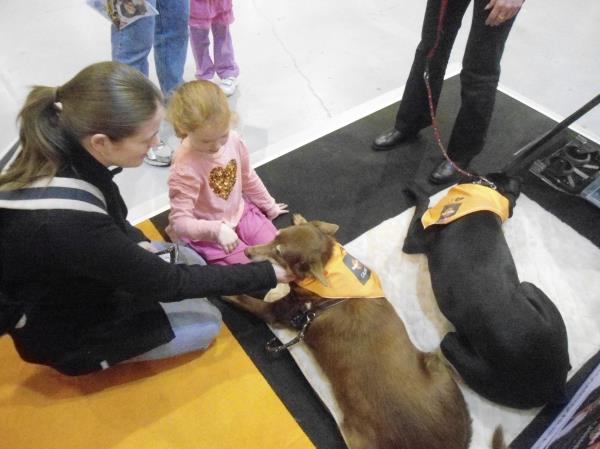 Dog Lovers — Penrith, NSW — Orchard Hills Veterinary Hospital