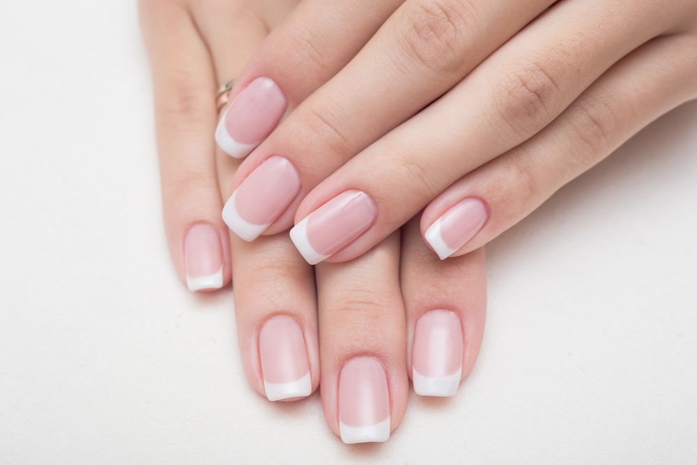 Hands with Classic French Manicure on A White Background — Beauty In Profile In Salamander Bay, NSW