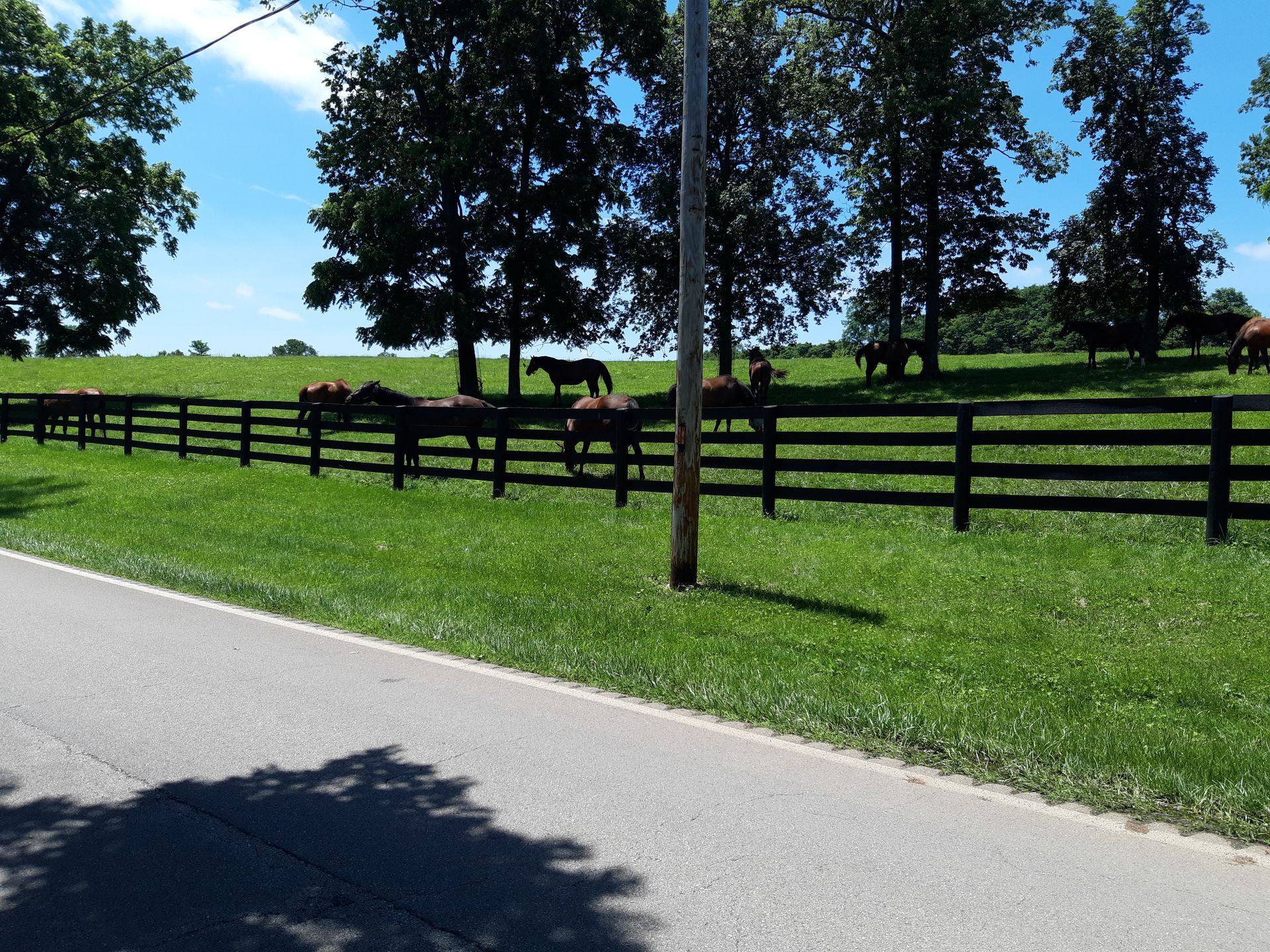 Best Seasons to Visit Bourbon Country and Why