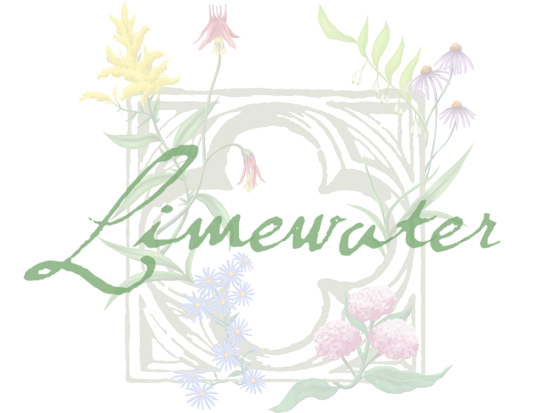 A logo for limewater with flowers and leaves on a white background.