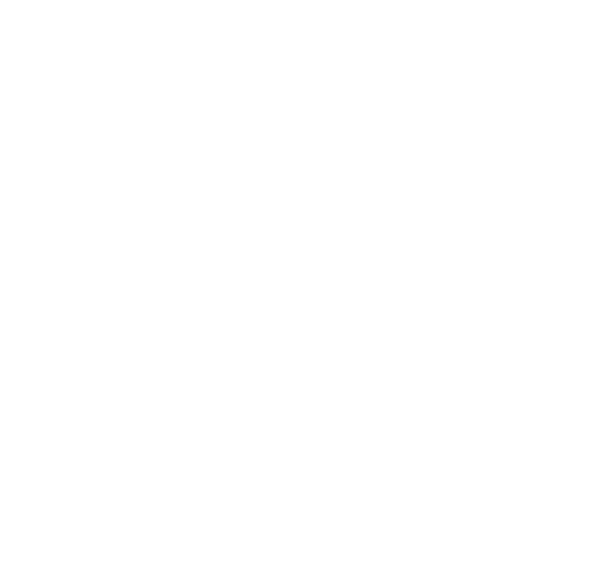 ts fork logo