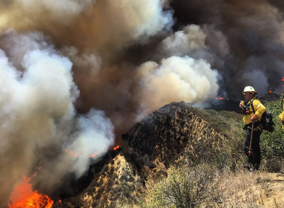 Firefighter surveys a wildfire on a hillside, battling flames and thick smoke.