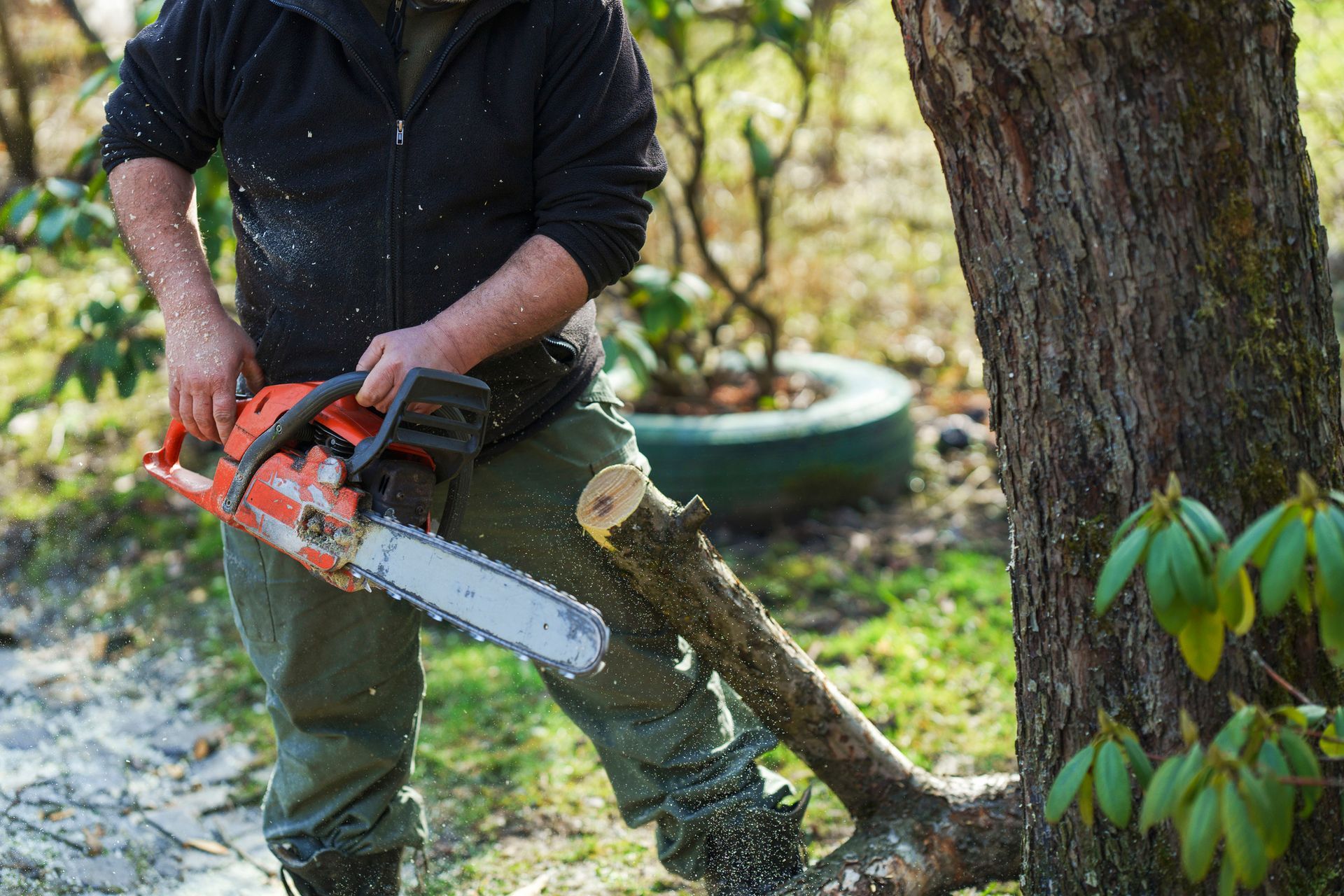 A man saws a tree in the garden with a chainsaw. A man saws a tree in the garden with a chainsaw.