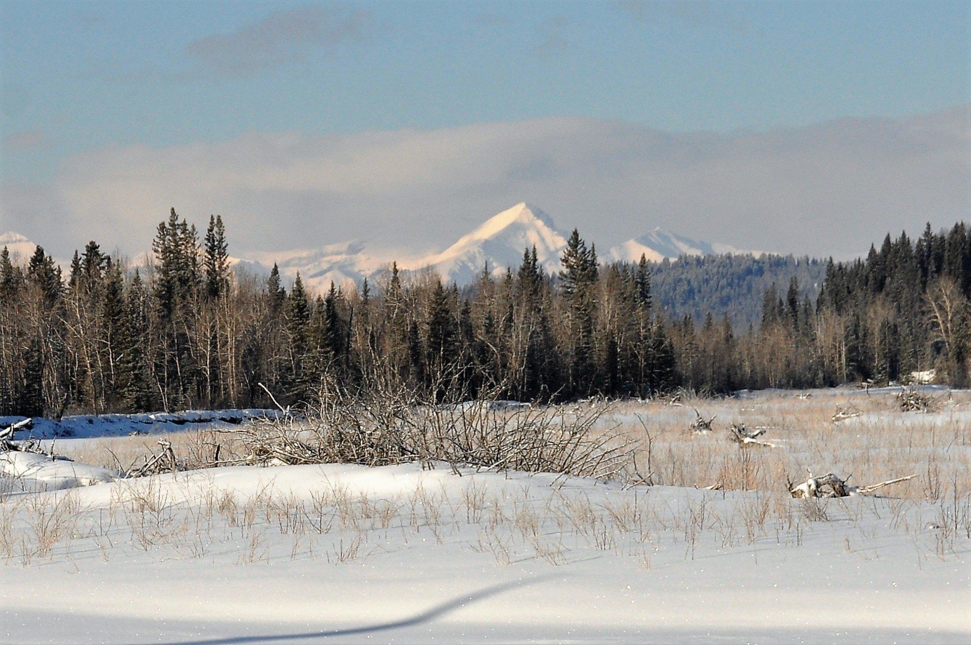 Living Redwood Meadows Townsite